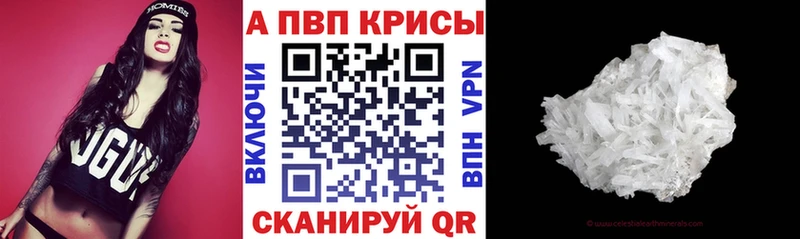 APVP СК КРИС Западная Двина